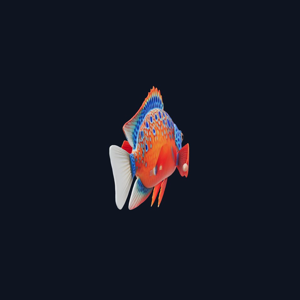 Vibrant Tropical Fish D Model Pack
